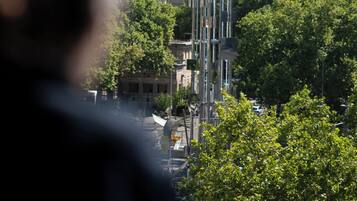 Executive Room | View from room