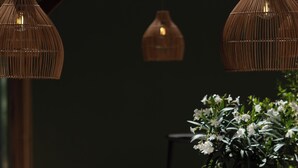 Une plante en pot avec des fleurs blanches, placée dans un pot noir, une lampe en osier et une chaise dans un espace extérieur ombragé.