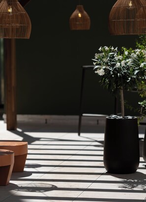 Garden - Hotel Oceania Lyon (Lyon)