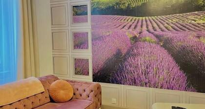 The world of Provence in the heart of Mulhouse