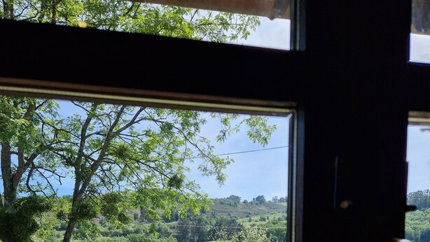 Vista per una finestra d'un paisatge verd amb arbres i una taula de pícnic.