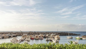 A marina with numerous boats docked, a rocky breakwater, and a clear sky. - Hotiday Room Collection - Massa Lubrense (Massa Lubrense)