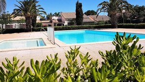 Una piscina con agua cristalina azul, rodeada de palmeras y un seto.