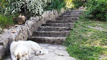 Terrein van de accommodatie