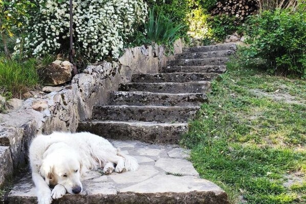 Áreas de la propiedad