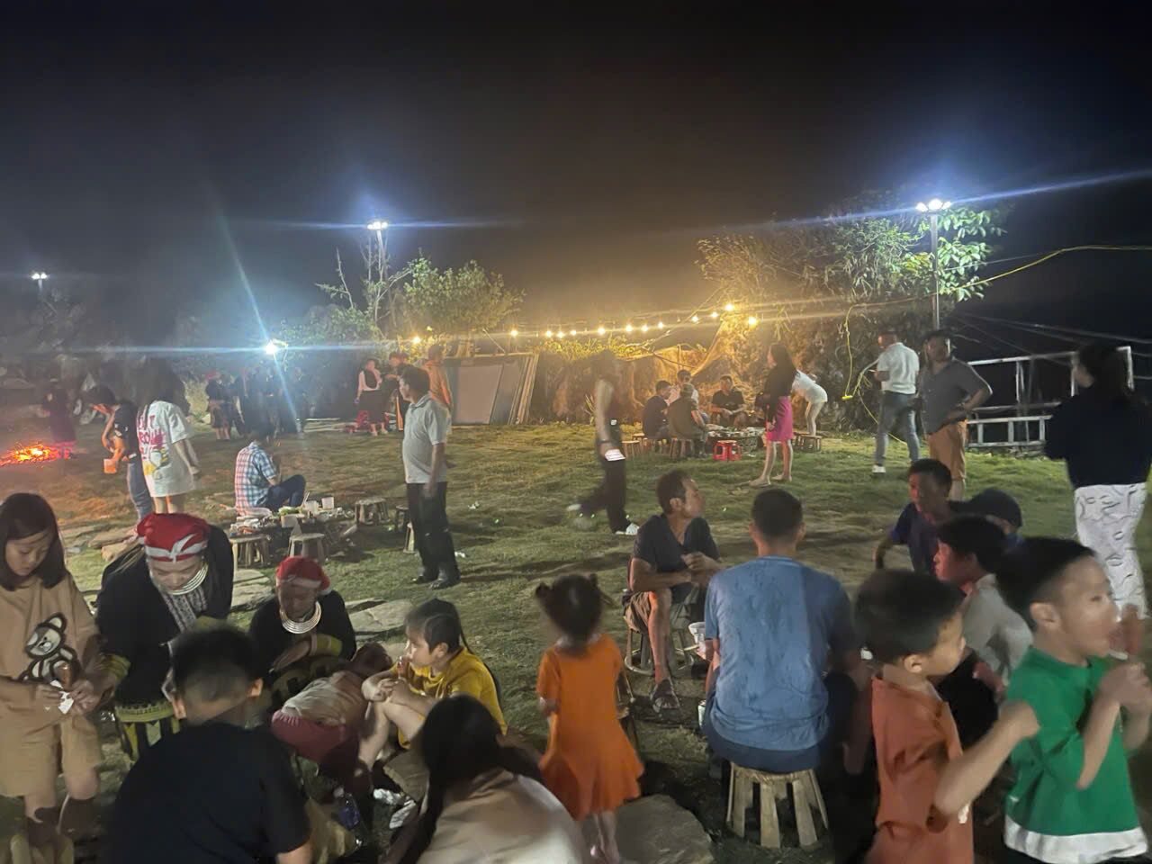An outdoor gathering with people seated and standing, under string lights, on a grassy area.