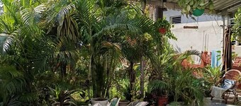 Peaceful house with WiFi in charming Rishikesh