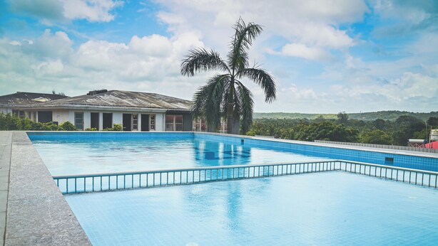A swimming pool with clear blue water, surrounded by a tiled deck and a palm tree.