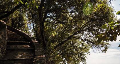 Hotiday Arenzano Pineta