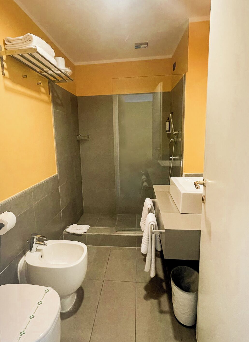 A compact bathroom with a shower, toilet, bidet, and a towel rack.