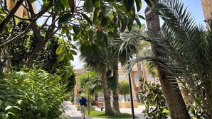 A pathway lined with trees and palm plants, leading to a building with a tiled roof. - Veramarinas apartment - relax and privacy (AN)