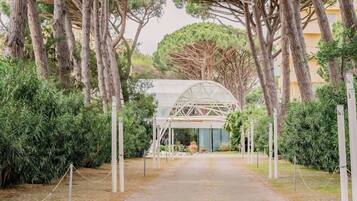 A pathway leading to a covered structure with a glass roof, surrounded by trees and greenery.