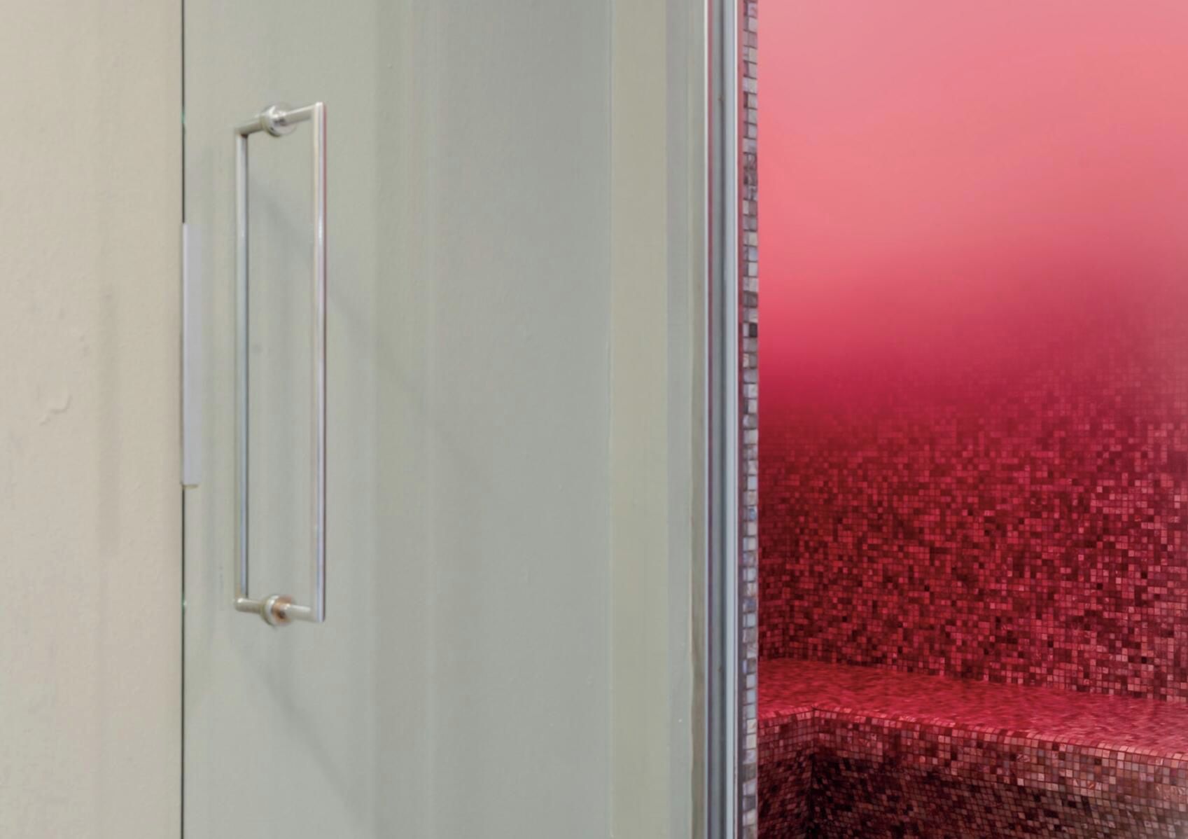 Una puerta con manija metálica y un panel de vidrio.