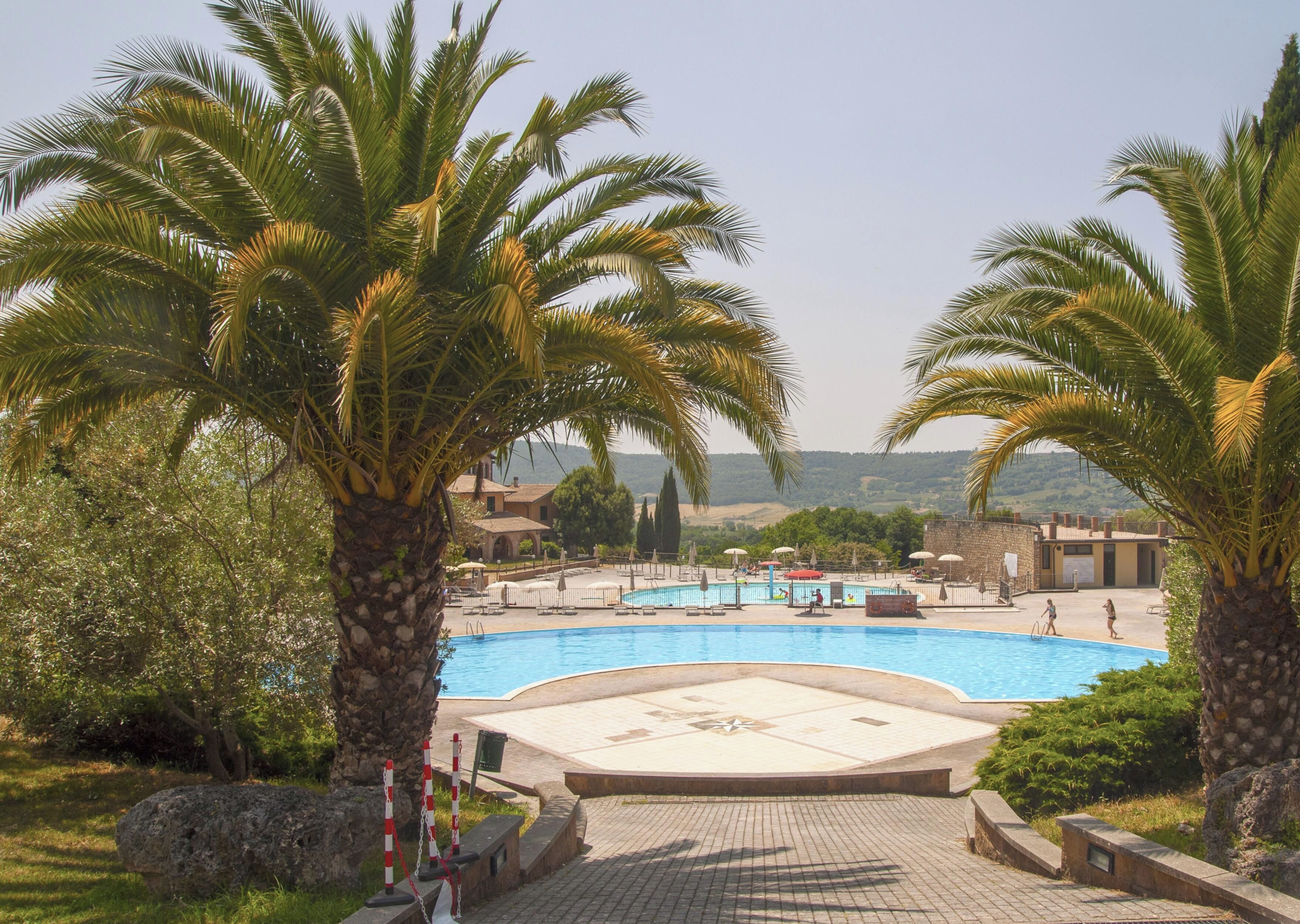 A swimming pool with a surrounding deck, palm trees, and a view of distant hills.