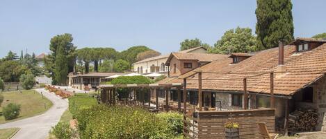 A traditional building with a tiled roof, wooden benches, and a garden area with a pathway.