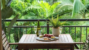 A wooden table set with a bottle, glasses, cheese, grapes, and a plant on a balcony with lush greenery in the background.