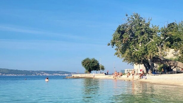 Klares blaues Meer mit sichtbaren Unterwasserstrukturen, ein Sandstrand mit Menschen und ein großer Baum, der Schatten spendet.