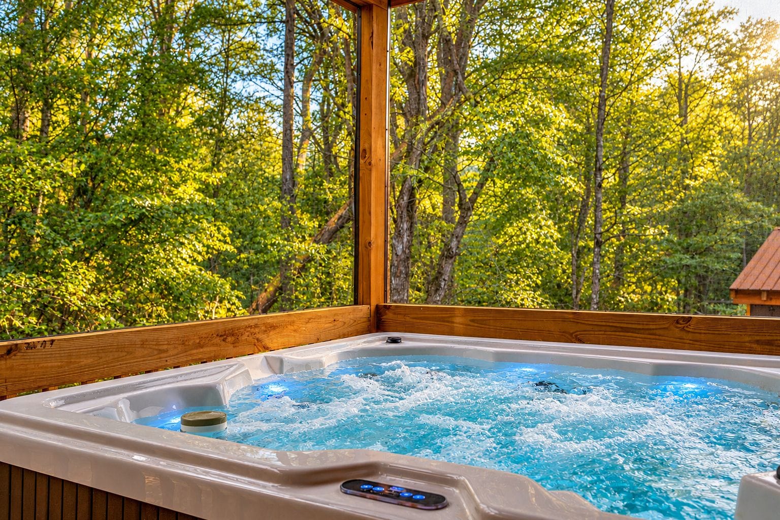 Ein Whirlpool mit Holzterrasse und Blick auf einen Wald.