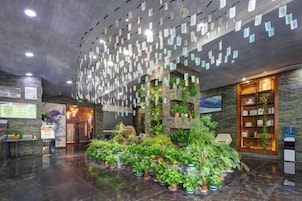 A lobby with a reception desk, a plant display, and a wall with hanging notes.