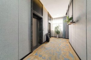 Un pasillo con piso alfombrado, un bote de basura y una planta en maceta sobre una repisa.