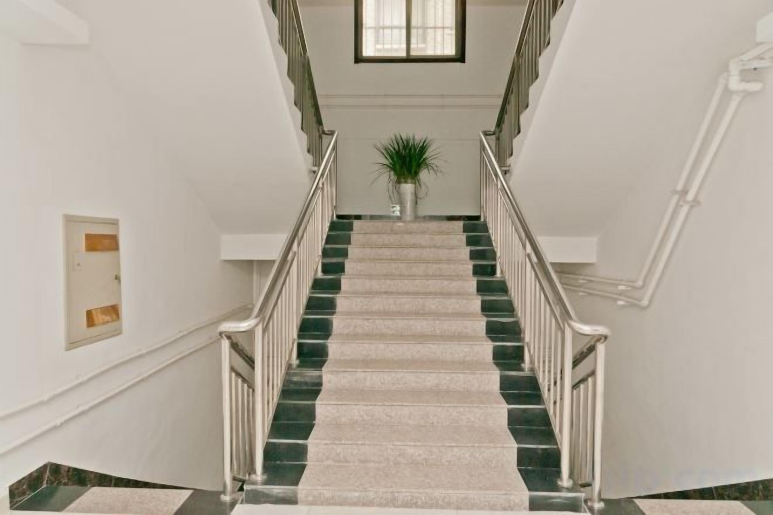 A staircase with a handrail, carpeted steps, and a potted plant at the top.