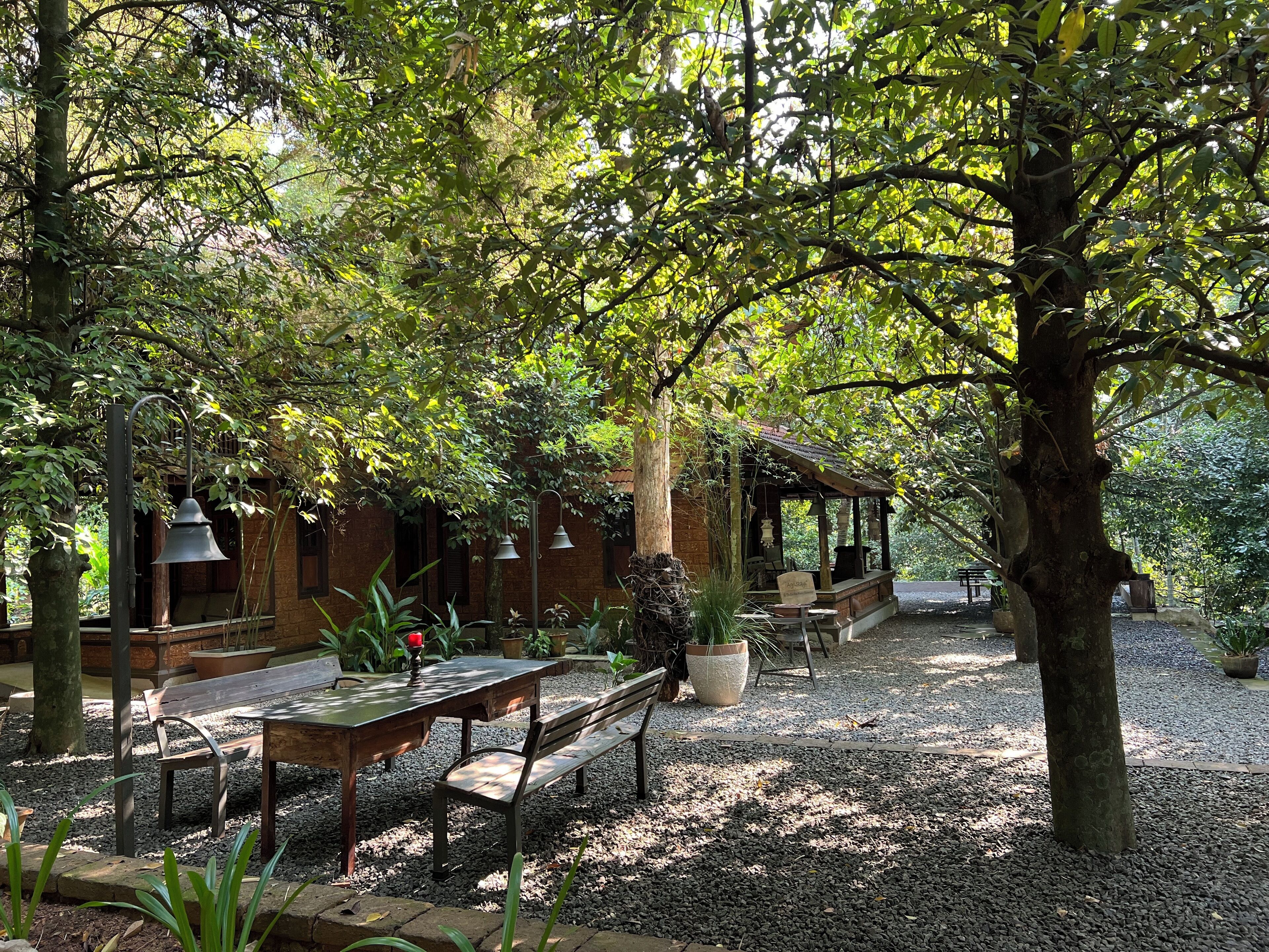 تناول الطعام بالخارج