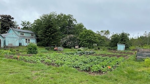 Un paisaje rural con una casa, jardín y árboles.