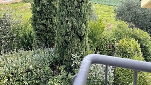 Vista de uma paisagem com duas altas ciprestes, variedade de vegetação e colinas e um corpo d'água ao longe.