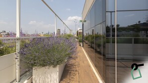 A corridor with a view of a cityscape, a glass building, and lavender plants. - HOTIDAY Room Collection - Milano Cinque Giornate (Milan)