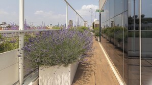 Un pasillo con vistas a un paisaje urbano, un edificio de vidrio y plantas de lavanda.