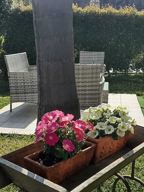 Overnattingsstedets uteområder