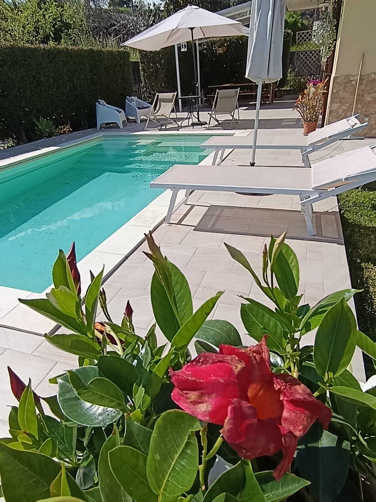 Een zwembad met ligbedden en parasols, omringd door groen.