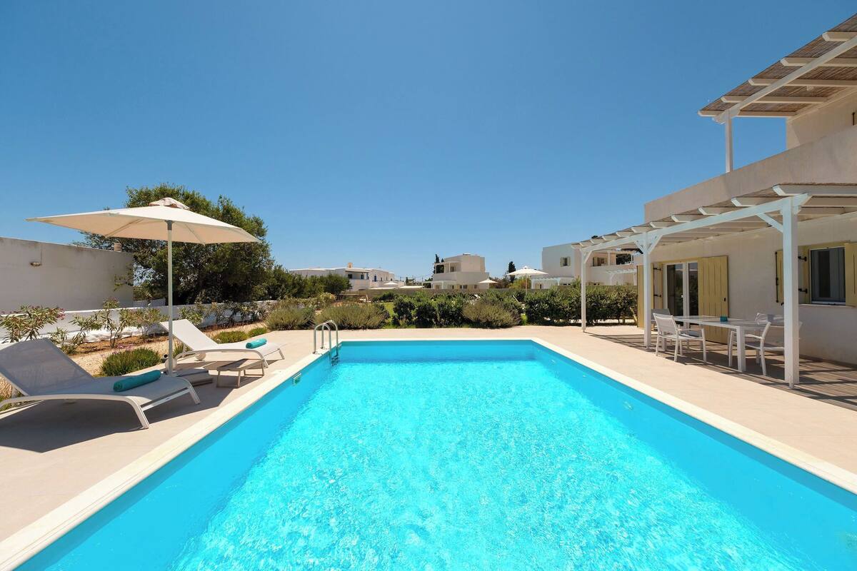 A swimming pool with lounge chairs and umbrellas, surrounded by buildings and greenery.