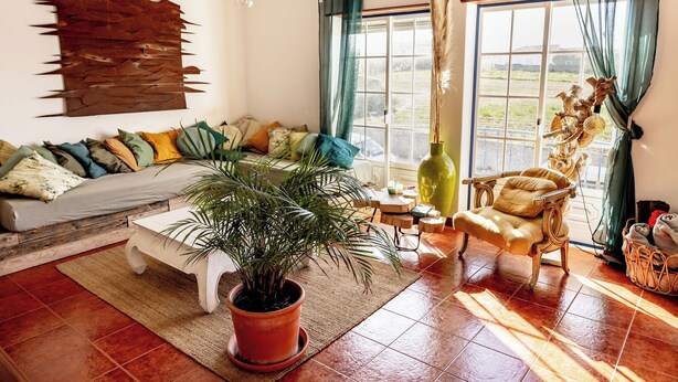 Una sala de estar acogedora con un sofá, una butaca, una planta en maceta y un amplio ventanal con cortinas.