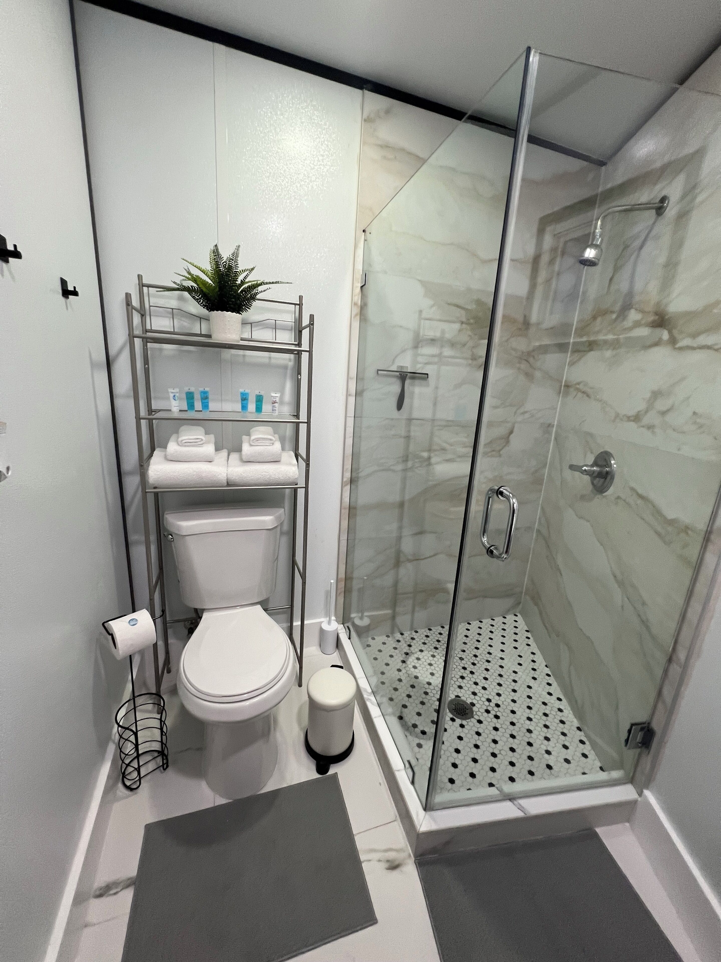 Shower, hair dryer, towels, soap