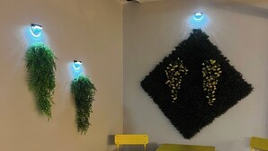 A corner with two yellow chairs and a small table, a wall-mounted decorative plant, and a wall-mounted light fixture.