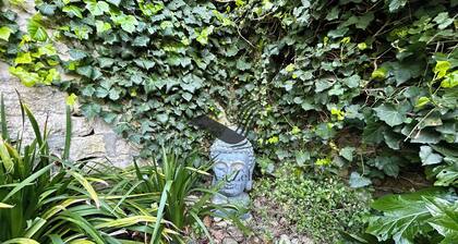 L'AUTHENTIQUE 2 Studio en centre-ville et face aux Thermes