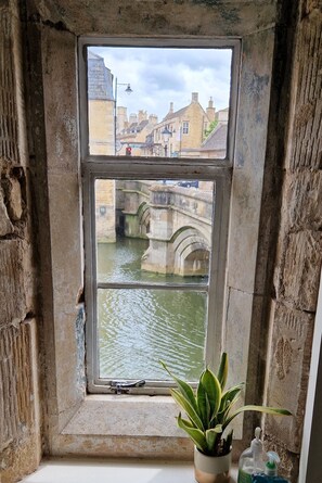 A window with a view of a bridge over water, a plant on the windowsill, and a bottle of hand sanitizer. - The Toll House at Riverside Stamford (Stamford)