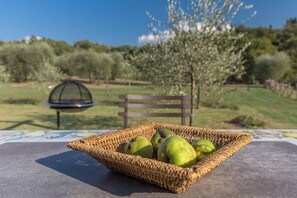 Property grounds - Villa Elena (Lucignano)