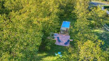 Eine kleine Holzhütte mit einem Pool, umgeben von üppigem Grün.