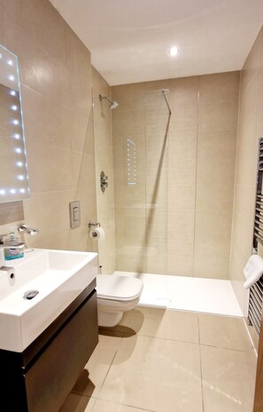 Shower, hair dryer, towels