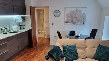 Smart TV, DVD player, books, video library