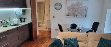 Televisio, DVD-soitin, kirjoja, videokirjasto