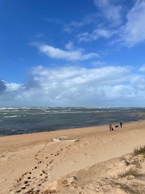 On the beach