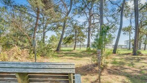 A wooden bench in a park with tall trees and a building in the background. - Bayside Haven by Seaside Vacations & Sales (Chincoteague Island)