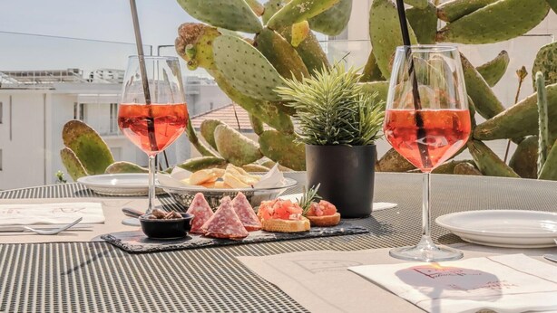 A table set outdoors with two glasses of red wine, a small potted plant, and a variety of appetizers.