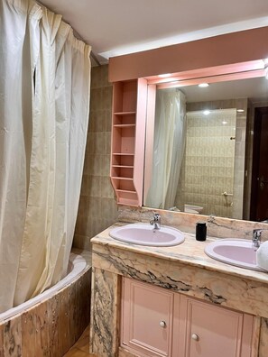 Shower, hair dryer, bidet, towels