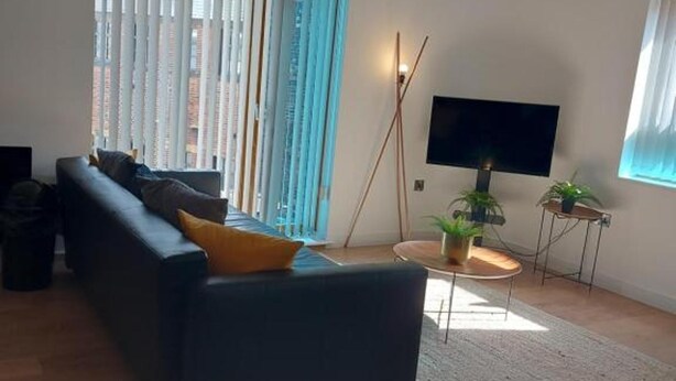 A modern living room with a sofa, a flat-screen TV, a coffee table, and a potted plant. - Modern 2-bed Apartment -12 Min Walk to Centre (Sheffield)