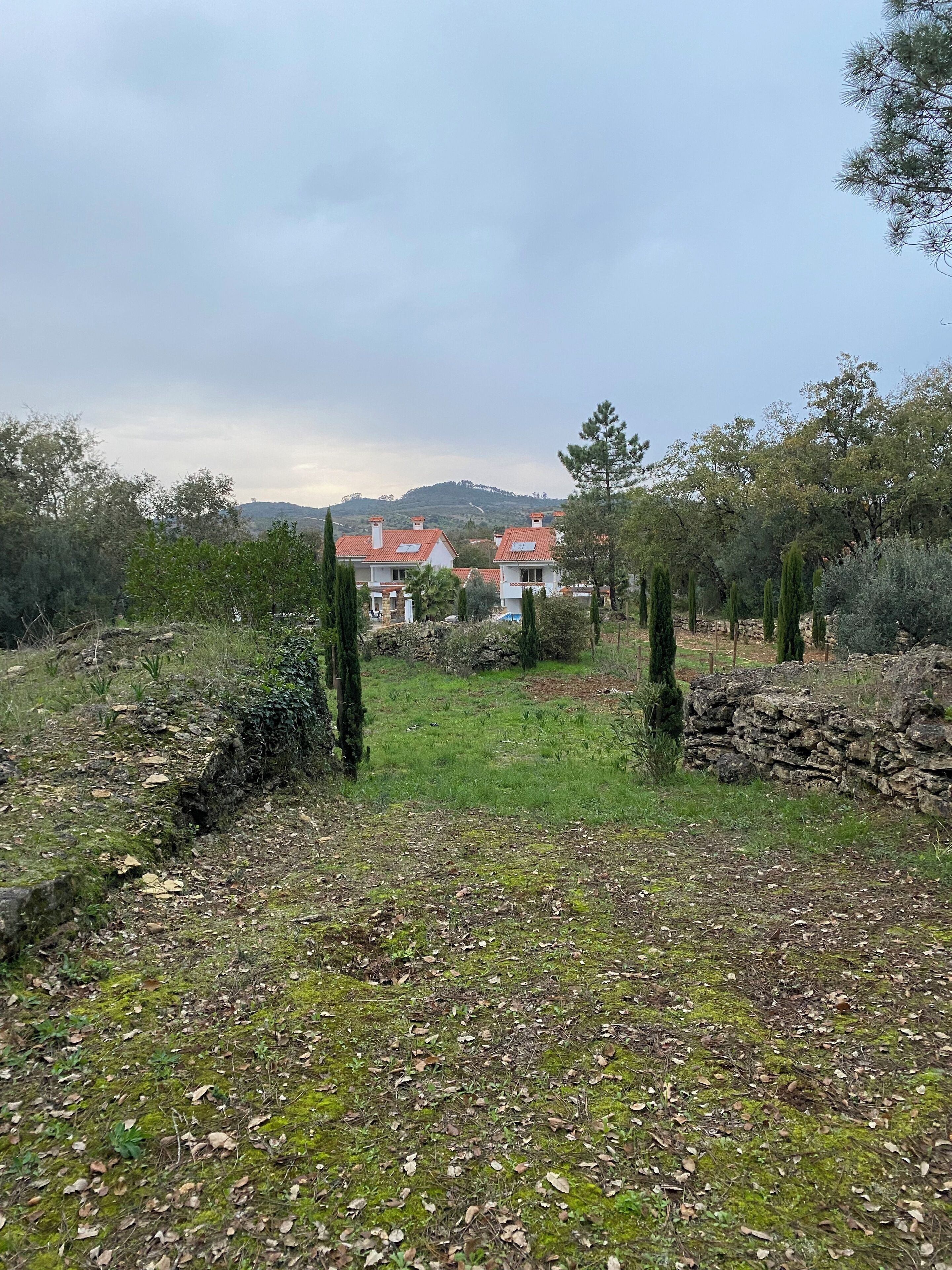 A rural landscape with two white houses with red roofs, surrounded by greenery and stone walls.