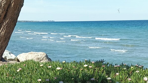 Enjoy breathtaking ocean views from a serene coastal setting.